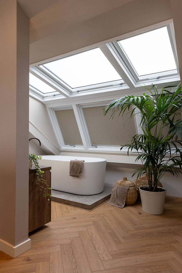 Coretec in De Grote Huisverbouwing 2