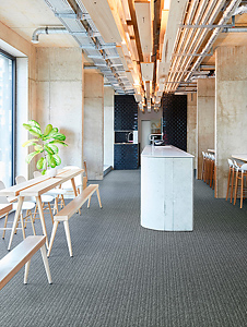 Linear Project SDN Kleur 842