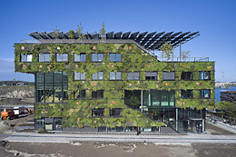 Groene buitenkant van deels