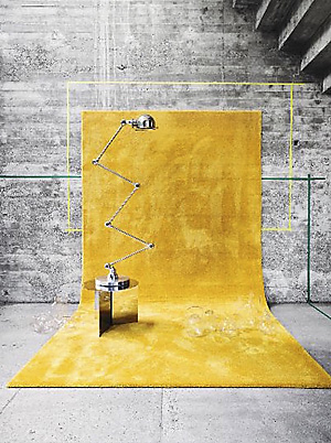 RugX Silky Seal 1211