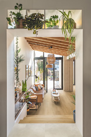 QS-Hout.jpg